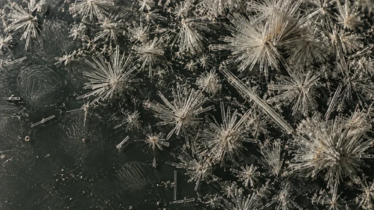 Cristales de un compuesto en forma de agujas radiadas sobre una superficie oscura, vistos de cerca